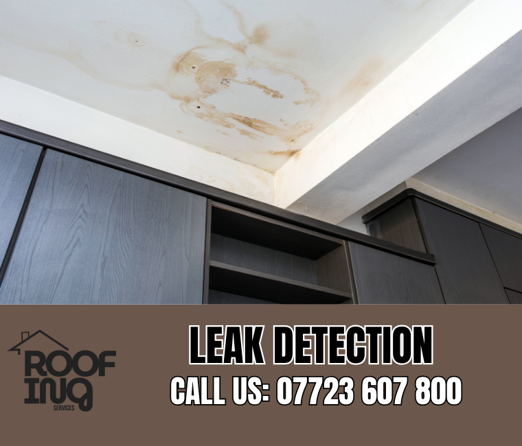 Roof Leak Detection in Lostwithiel