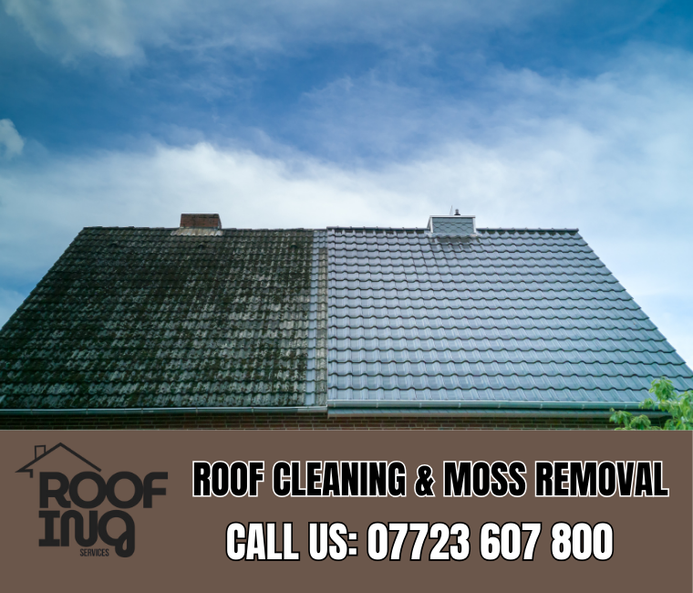 Roof Cleaning in Lostwithiel